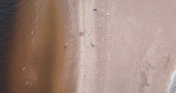 Aerial shot of sand beach in Saint petersburg, Russia. People resting area, summer Baltic Sea Top view — Stock Video