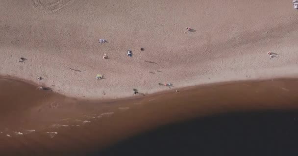 Aerial shot of sand beach in Saint petersburg, Russia. People resting area, summer Baltic Sea Top view — Stock Video