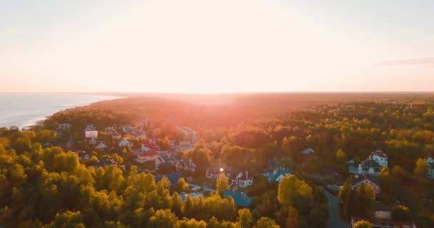 Fantastisk solnedgång och skog. Blå havet och havet vid horisonten. Sommar helg eller semester. horisontell vy. Ryska landskapet bakgrund. Finska viken. Östersjön. Konceptet för resande turister — Stockvideo