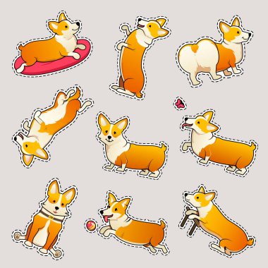 Sevimli köpek doğurmak Galce Corgi Pembroke beyaz arka plan üzerinde ayarlayın. sopa kızlar için. Aile içi bir evcil hayvan, kızlar için mutlu bir kraliyet hayvan. Komik kırmızı saçlı köpek yavrusu bir tilki gibi görünüyor. Vektör çizim.