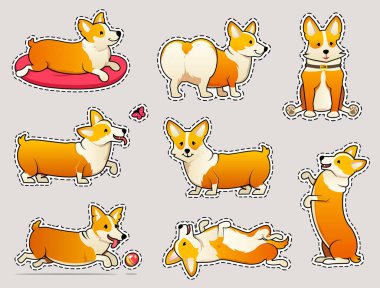 Sevimli köpek doğurmak Galce Corgi Pembroke beyaz arka plan üzerinde ayarlayın. sopa kızlar için. Aile içi bir evcil hayvan, kızlar için mutlu bir kraliyet hayvan. Komik kırmızı saçlı köpek yavrusu bir tilki gibi görünüyor. Vektör çizim.