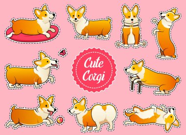 Sevimli köpek doğurmak Galce Corgi Pembroke pembe bir arka plan üzerinde ayarlayın. sopa kızlar için. Aile içi bir evcil hayvan, kızlar için mutlu bir kraliyet hayvan. Komik kırmızı saçlı köpek yavrusu bir tilki gibi görünüyor. Vektör çizim.