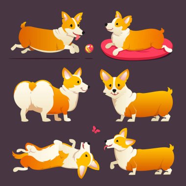 Sevimli köpek doğurmak Galce Corgi Pembroke mor arka plan üzerinde ayarlayın. Aile içi bir evcil hayvan, kızlar için mutlu bir kraliyet hayvan. Komik kırmızı saçlı köpek yavrusu bir tilki gibi görünüyor. Vektör çizim.