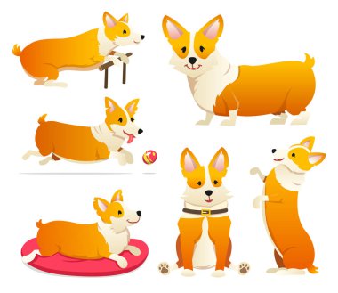 Sevimli köpek doğurmak Galce Corgi Pembroke beyaz arka plan üzerinde ayarlayın. Aile içi bir evcil hayvan, kızlar için mutlu bir kraliyet hayvan. Komik kırmızı saçlı köpek yavrusu bir tilki gibi görünüyor. Vektör çizim.