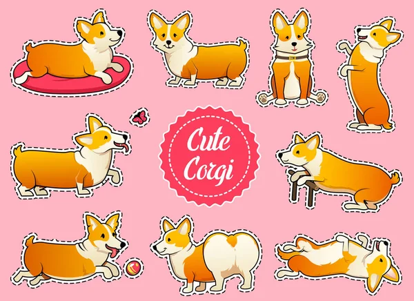 Sevimli köpek doğurmak Galce Corgi Pembroke pembe bir arka plan üzerinde ayarlayın. sopa kızlar için. Aile içi bir evcil hayvan, kızlar için mutlu bir kraliyet hayvan. Komik kırmızı saçlı köpek yavrusu bir tilki gibi görünüyor. Vektör çizim. — Stok Vektör