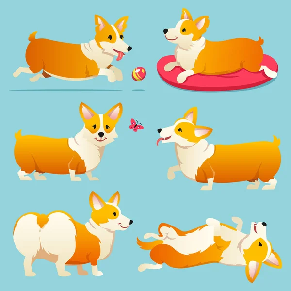 Sevimli köpek doğurmak Galce Corgi Pembroke mavi arka plan üzerinde ayarlayın. Aile içi bir evcil hayvan, kızlar için mutlu bir kraliyet hayvan. Komik kırmızı saçlı köpek yavrusu bir tilki gibi görünüyor. Vektör çizim.