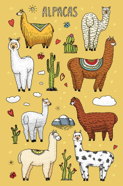 Conjunto de lindas Llamas Alpaca o guanaco salvaje en el fondo de Cactus y montaña. Animales sonrientes divertidos en Perú para tarjetas, carteles, invitaciones, camisetas. Elementos dibujados a mano. Esbozo grabado . — Archivo Imágenes Vectoriales