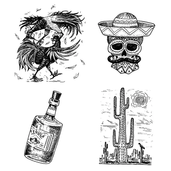 Day of the dead. Mexican national holiday with the original inscription in Spanish Dia de los Muertos. Skeleton and skull, Cocks fighting, tequila or whiskey, cactus in the desert. Hand drawn engraved — Stock Vector