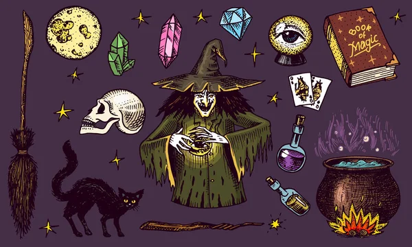 Halloween-Elemente. Zauberkugel, Hexe mit Zauberbuch, verfluchte schwarze Katze, Beldam und Zauberei, Hag oder Hex, Zaubertrank und Hexenkessel, Totenkopf und Wahrsagerkarten. handgezeichnete gestochene Vintage-Skizze. — Stockvektor