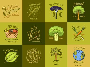Sağlıklı organik gıda logolar kümesi veya etiketleri ve vejetaryen ve çiftlik yeşil doğal sebze ürünleri, vektör çizim için öğeleri. rozetleri sağlıklı yaşam. oyulmuş elle çizilmiş eski kroki.
