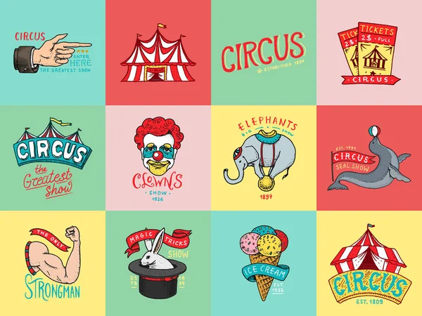 Distintivo do circo. Logotipos ou emblemas do Carnaval Vintage. Etiqueta para o banner do festival e show. Arlequim com animais. Palhaço retrô e elefante, sorvete, foco mágico na tenda. gravado mão desenhada . — Vetor de Stock