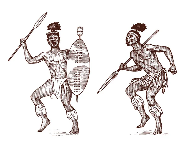 Tribus africaines, Aborigènes en costumes traditionnels. Australien guerrier noir natif avec des lances et des armes. Croquis vintage monochrome gravé à la main pour étiquette . — Image vectorielle