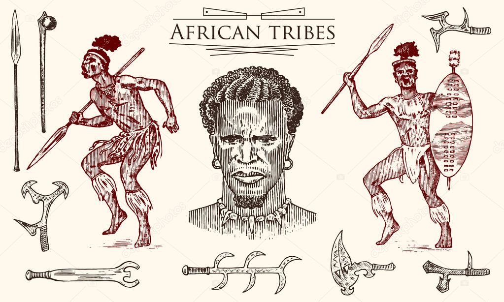 African tribes, portraits of Aborigines in traditional costumes. Australian Warlike black native man with spears and weapons. Engraved hand drawn old monochrome Vintage sketch for label.