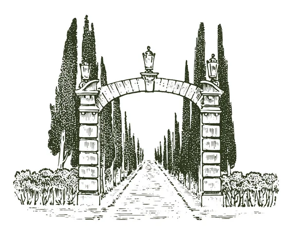 Vintage gates. Victorian doors or an ancient arch. Entrance to the garden or the park in the background of trees. Engraved hand drawn old sketch. Vector illustration — Stock Vector