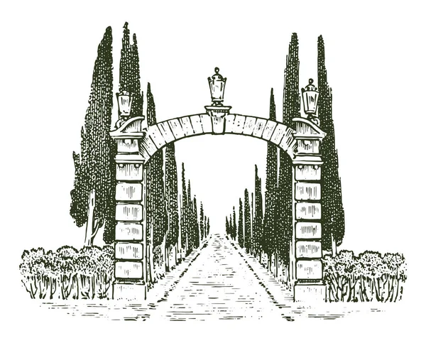 Puertas antiguas. Puertas victorianas o un antiguo arco. Entrada al jardín o al parque en el fondo de los árboles. Grabado a mano dibujado viejo boceto. Ilustración vectorial — Vector de stock