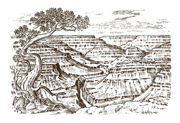Гранд-Каньйон в Арізоні, Сполучені Штати. Графічний монохромний краєвид. Вигравірувано боку звернено старі ескіз. Гірські вершини з лісу. Векторні ілюстрації для плакат або етикетку. — стоковий вектор