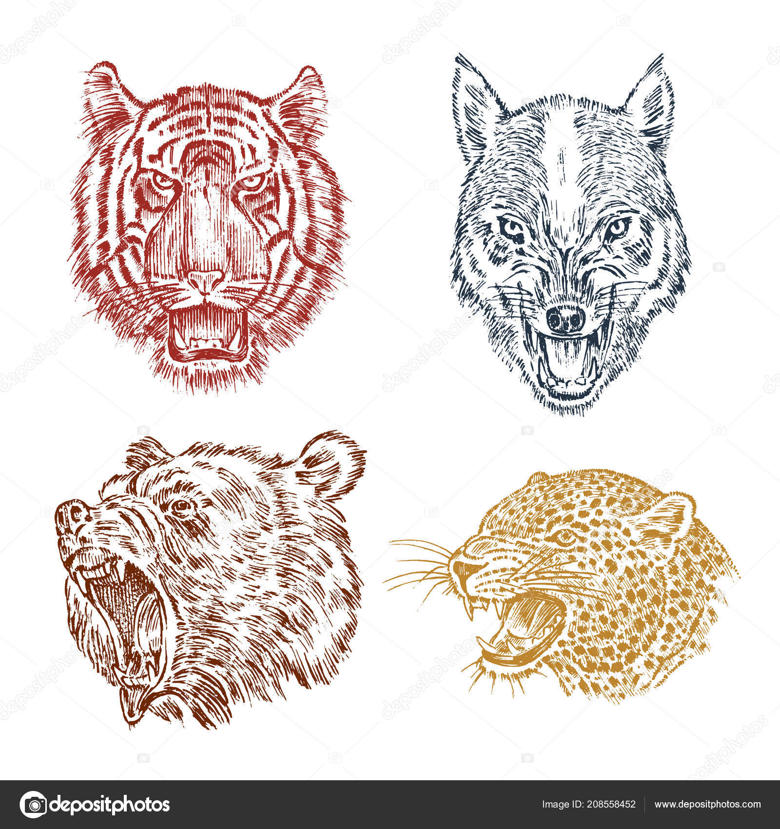 藪貓藪貓，你的耳朵和腳ㄚ為什麼這麼大？ - PanSci 泛科學, image size:1600x1700