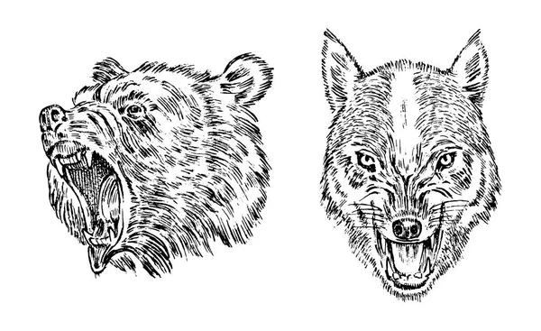Retrato do Urso Grizzly. O rosto do lobo da floresta. Cabeça de um animal selvagem. rugido furioso de um predador. Emblema ou emblema Ilustração vetorial. Gravado mão desenhada velho monocromático Vintage esboço . —  Vetores de Stock