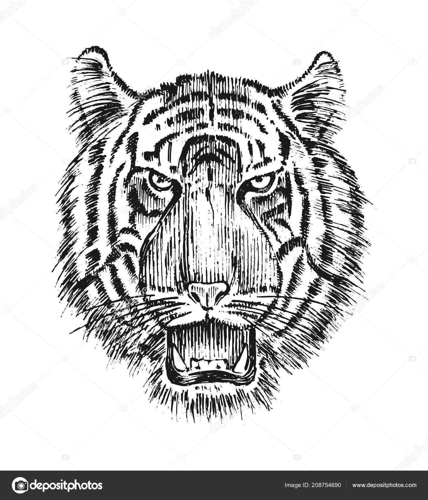 日本の野生のトラ。アジアの動物の猫。頭や顔のプロフィール。タトゥー