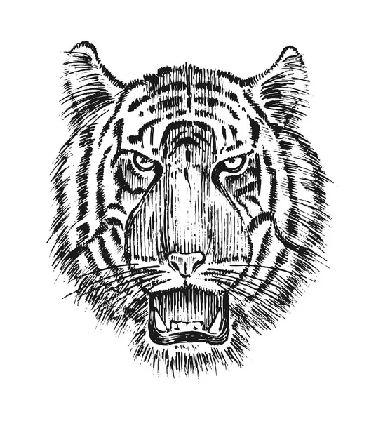 Tigre salvaje japonés. Gato animal asiático. perfil de la cabeza o la cara. Tatuaje. Mano grabada dibujada en antiguo boceto vintage. Ilustración surrealista vectorial, insignias, impresión para camiseta . — Vector de stock