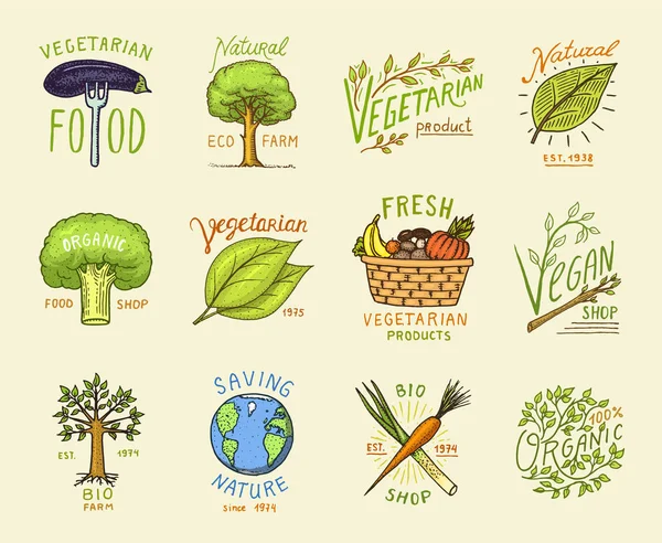 Gesunde Bio-Lebensmittel Logos gesetzt oder Etiketten und Elemente für vegetarische und Bauernhof grüne natürliche Gemüseprodukte, Vektorillustration. Abzeichen gesundes Leben. gravierte Hand in alter Skizze gezeichnet. — Stockvektor