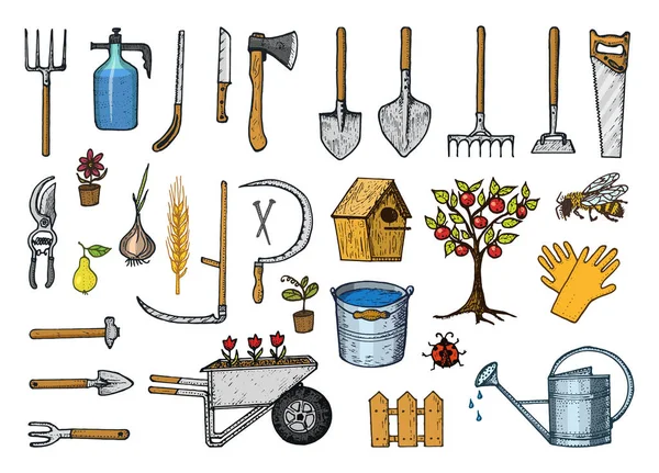 Ensemble d'outils ou d'articles de jardinage. Enrouleur de tuyau, fourche, bêche, râteau, houe, trug, chariot, tondeuse à gazon, équipement de travail de collecte d'éléments. pelle clôture arbre scie arrosoir hache. gravé à la main dessiné dans un vieux croquis — Image vectorielle