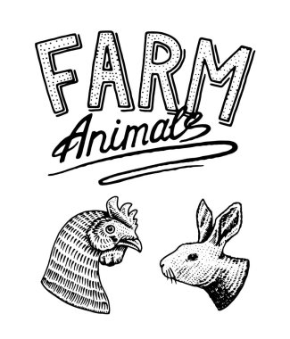 Çiftlik hayvanı. Baş bir yerli kuş horoz ve tavşan. Logo veya amblem tabela için. Menü simgesini. Doğal ürünler için etiket. oyulmuş elle çizilmiş eski kroki vintage tarzı.