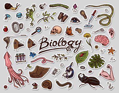Bilimsel laboratuvar biyoloji. Icon Set Biyokimya araştırma. Yaşayan yaratıklar organizmalar molekülleri. Tıp okulunda. Eğitim ve bilim. oyulmuş elle çizilmiş eski kroki vintage tarzı.