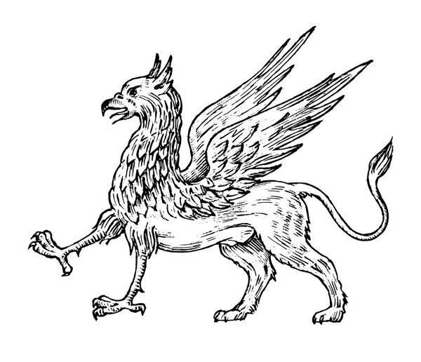 Mythological animals. Mythical antique Griffin. Ancient Birds, fantastic creatures in the old vintage style. Engraved hand drawn old sketch.