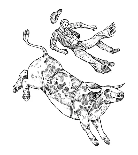Rasande tjur attackerar den matador eller tjurfäktare. Corrida de toros. Spansk traditionell prestanda. Vintage stil. Graverade handen ritade gamla skiss. Vektorillustration. — Stock vektor
