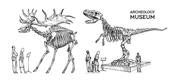 Vintage Muzeum Archeologiczne. Odwiedzający są patrząc na wystawie. Historyczne szkielet Wymarłe Zwierzęta Dinozaur i irlandzki łoś lub olbrzymi Jeleń. Ręcznie grawerowane ciągnione stary szkic monochromatyczne. — Wektor stockowy