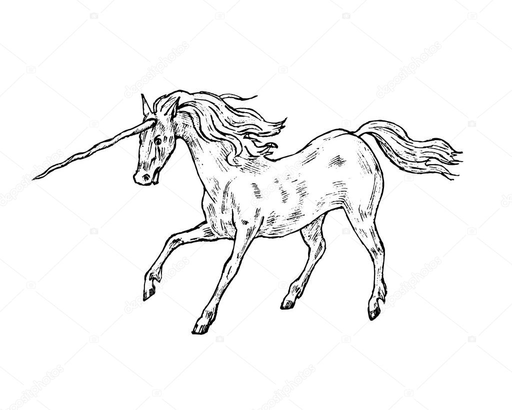 Mythological unicorn. Mythical antique magic animal. Ancient horse, fantastic creatures in the old vintage style. Engraved hand drawn old sketch