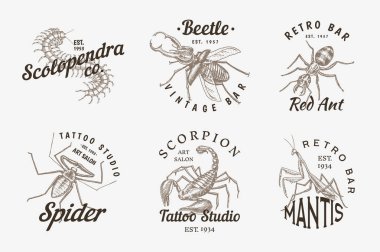 Böcekler logolar kümesi. Vintage Evcil hayvan etiketleri için ya da dövme stüdyosu. Böcek böcekler akrep örümcek karınca Mantis arı Scolopendra. amblem rozetleri, t-shirt tipografi. Oyulmuş vektör çizim.
