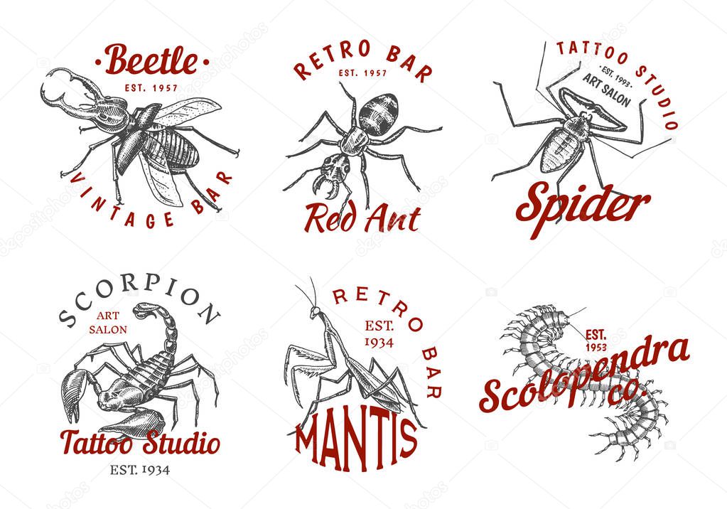 Set of insects logos. Vintage Pets labels for bar or tattoo studio. Bugs Beetles Scorpion Spider Ant Mantis Bee Scolopendra. emblems badges, t-shirt typography. Engraved Vector illustration