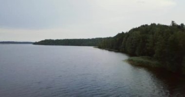 Göl ve Kuzey yeşil çim. Hava uçak yatay görünüm. Rus manzara. Güneşli bir günde vahşi doğa. Turistler seyahat kavramı.