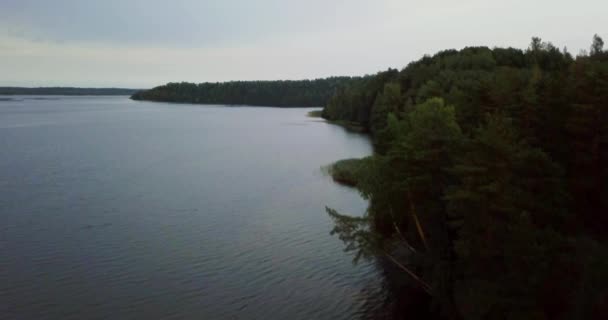 Lago e grama verde no norte. Vista horizontal do drone aéreo. Paisagem russa. Dia ensolarado na natureza selvagem. Conceito para turistas itinerantes . — Vídeo de Stock