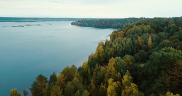 Bos van het meer en de naaldbomen in het noorden. Luchtfoto drone horizontale weergave. Landschap met pijnbomen, zonnige dag in wilde natuur. De Golf van Finland. Baltische Zee. Concept voor toeristen reizen. — Stockvideo