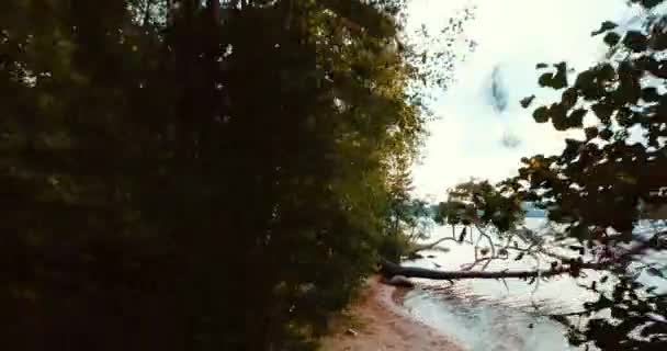 Лес у озера и хвойные деревья на севере. Воздушный беспилотник горизонтальный вид. Пейзаж с соснами, солнечный день в дикой природе. Финский залив. Балтийское море. Концепция для туристов . — стоковое видео