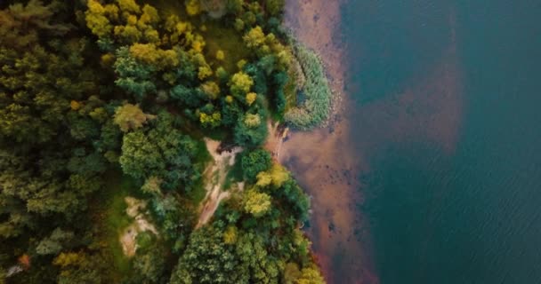 湖と北の針葉樹の森。空中ドローン平面図です。松、モミ、野生の自然で晴れた日の風景します。フィンランド湾。バルト海。観光客の旅のコンセプト. — ストック動画