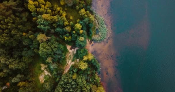 Lesní jezero a jehličnaté stromy na severu. Pohled shora letecké DRONY. Krajina s borovicemi a jedle, slunečný den v divoké přírodě. Do Finského zálivu. Baltské moře. Koncept pro turisty na cestách. — Stock video