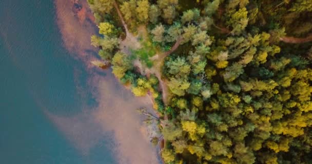 Vue aérienne sur la forêt et les conifères dans le nord. Paysage russe avec pins et sapins, journée ensoleillée dans la nature sauvage. Le golfe de Finlande. Mer Baltique. Concept pour touristes itinérants 