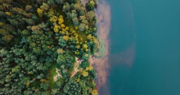 Bosque junto al lago y árboles de coníferas en el norte. Vista superior del dron aéreo. Paisaje con pinos y abeto, día soleado en la naturaleza salvaje. El Golfo de Finlandia. Mar Báltico. Concepto para turistas viajeros . — Vídeos de Stock