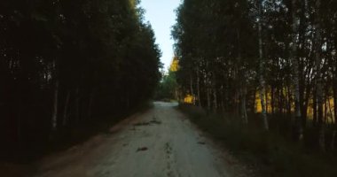 Yolun ormanın içinde hava dron görünümü. köy yeşil ağaçların. Rus yatay, çam ve köknar, güneşli bir günde vahşi doğa.