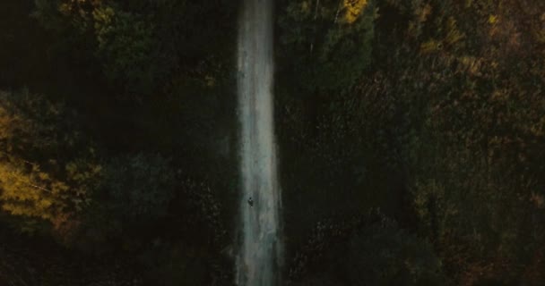 Vista aérea do drone da estrada na floresta. árvores verdes na aldeia. Paisagem russa com pinheiros e abeto, dia ensolarado na natureza selvagem. o jovem viajante está avançando . — Vídeo de Stock