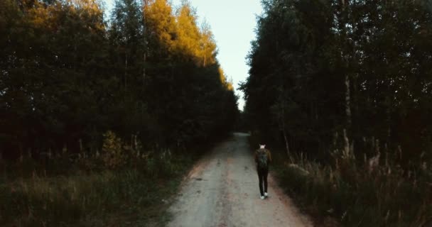 Drone lotnicze widoku drogi w lesie. zielonych drzew w miejscowości. Rosyjski krajobraz z sosny i jodły, słoneczny dzień w dzikiej przyrody. młody człowiek podróżnik posuwa się naprzód. — Wideo stockowe