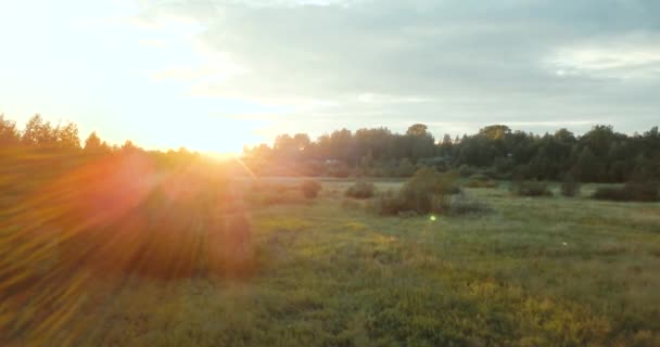 Aerial drönarvy av solnedgången och fältet. ljus mellan träden. Ryska landskap med tall och Gran, solig dag i vilda naturen. — Stockvideo