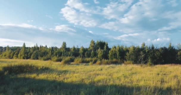 Vue aérienne par drone du coucher du soleil et du champ. lumière entre les arbres. Paysage russe avec pins et sapins, journée ensoleillée dans la nature sauvage .