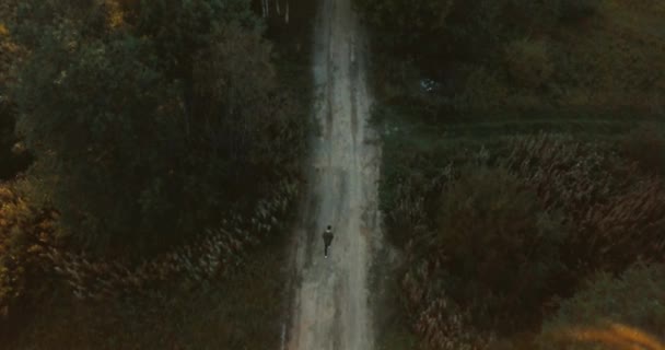 Aerial drone view of the road in the forest. green trees in the village. Russian landscape with pines and fir, sunny day in wild nature. the young man traveler is moving forward. — Stock Video