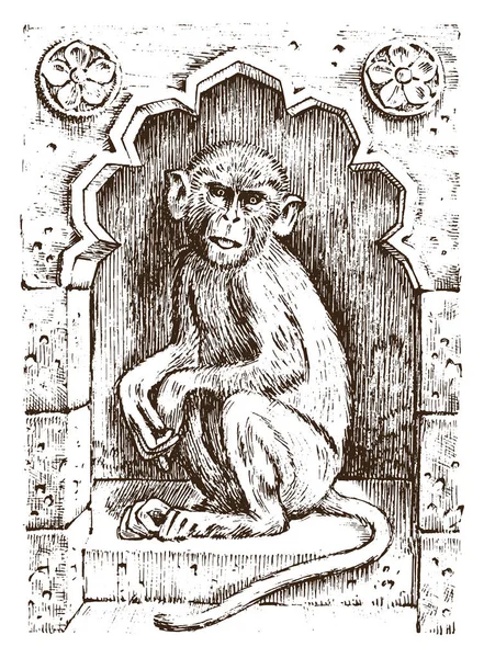 Mono lindo o primate vintage. Animal salvaje dibujado a mano, grabado. zoología símbolo africano. ilustración vectorial. póster para libro o sitio web . — Archivo Imágenes Vectoriales