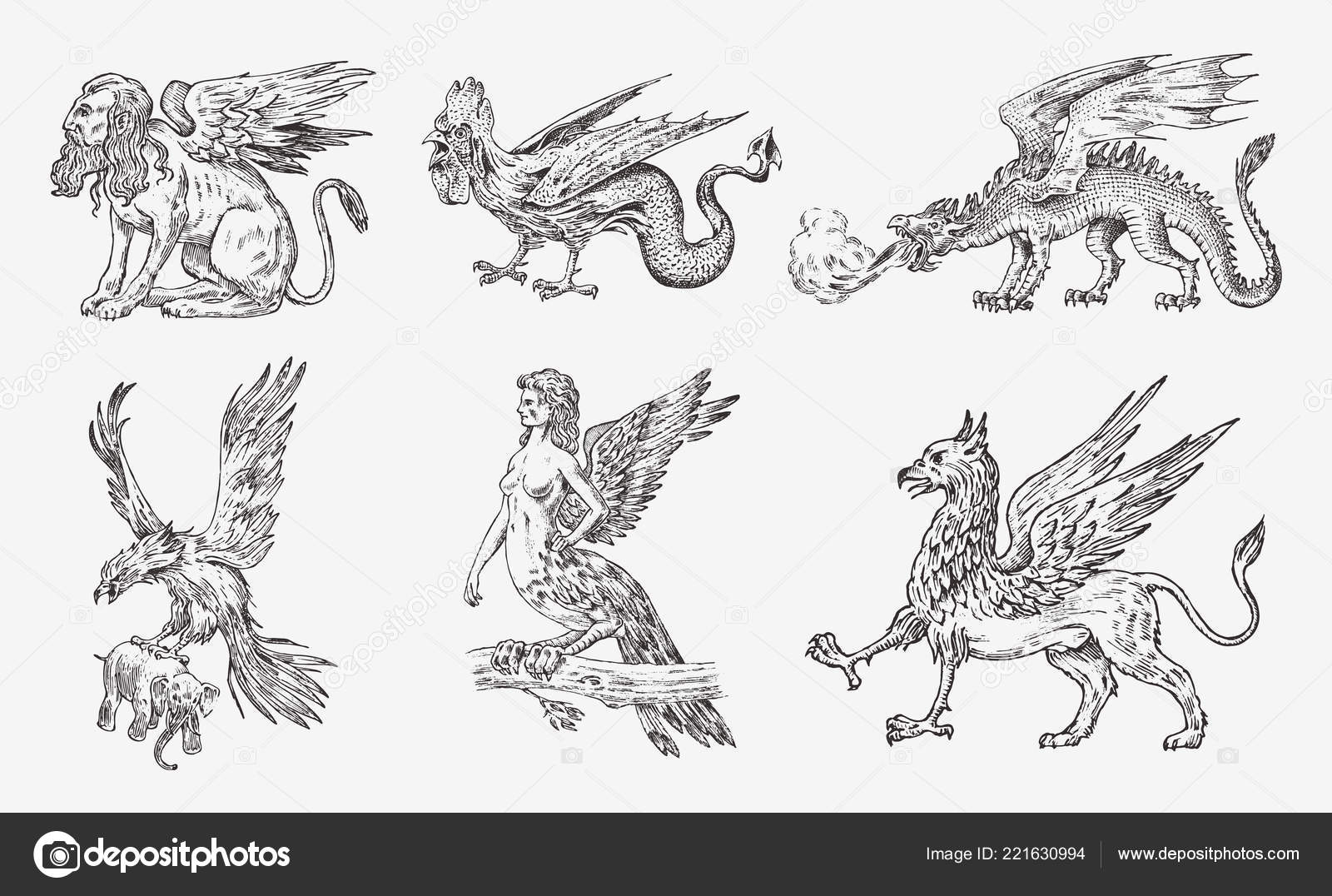 Set Of Mythological Animals Chinese Dragon Harpy Sphinx Griffin Mythical Basilisk Roc Woman Bird Greek Creatures Engraved Hand Drawn Antique Old Vintage Sketch Vector Image By C Arthurbalitskiy Vector Stock Set Of Mythological Animals Chinese Dragon Harpy Sphinx Griffin Mythical Basilisk Roc Woman Bird Greek Creatures Engraved Hand Drawn Antique Old Vintage Sketch Vector Image By C Arthurbalitskiy Vector Stock